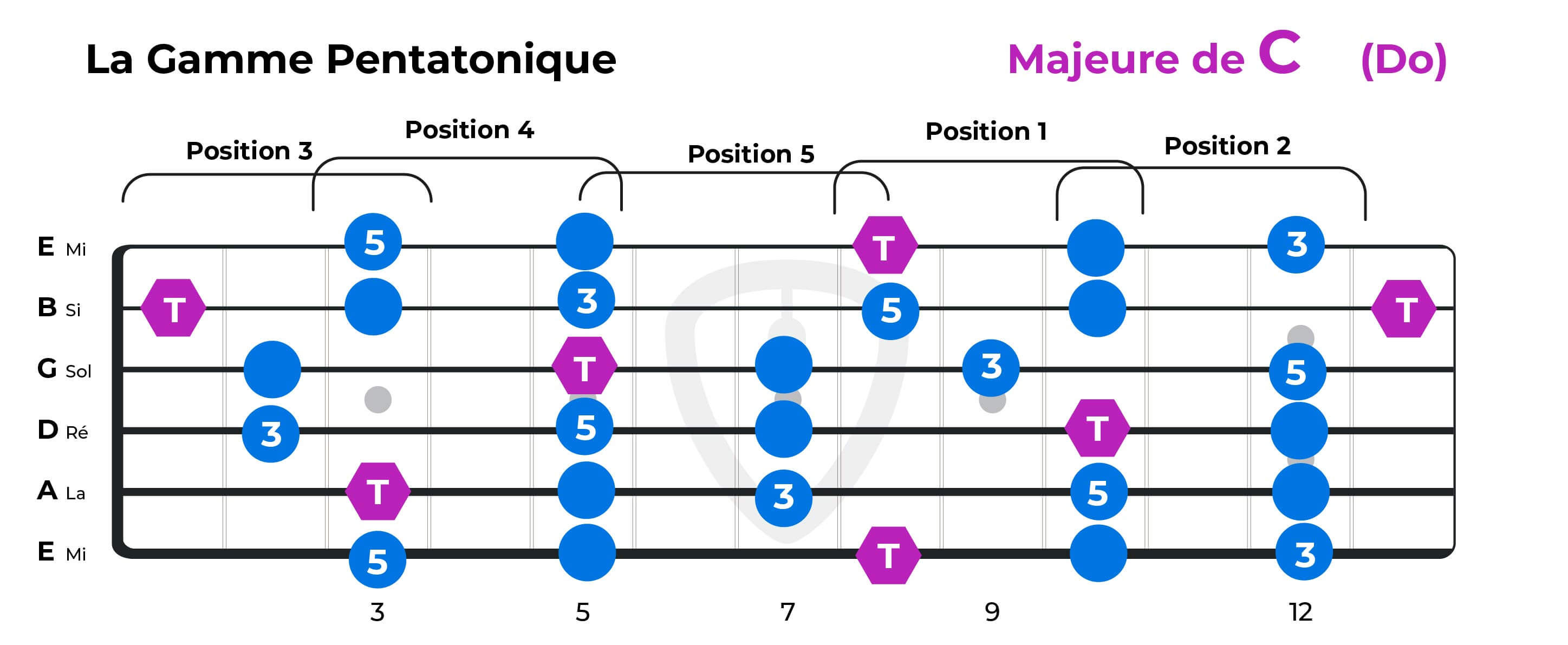 CAGED accords et gammes guitare Solfège MyGuitare